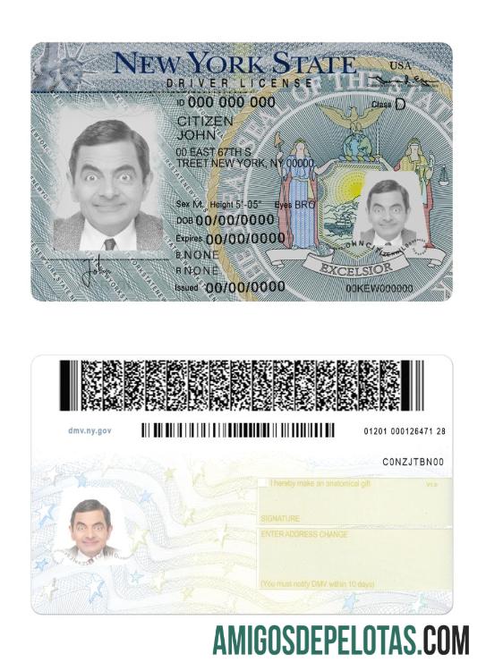 Carteira de motorista dos EUA, Nova York, versão 2 exemplo